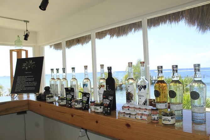 3-Hour Small-Group Mezcal and Tequila Tasting activity from Cozumel - Fruit, snacks, and a proper lunch