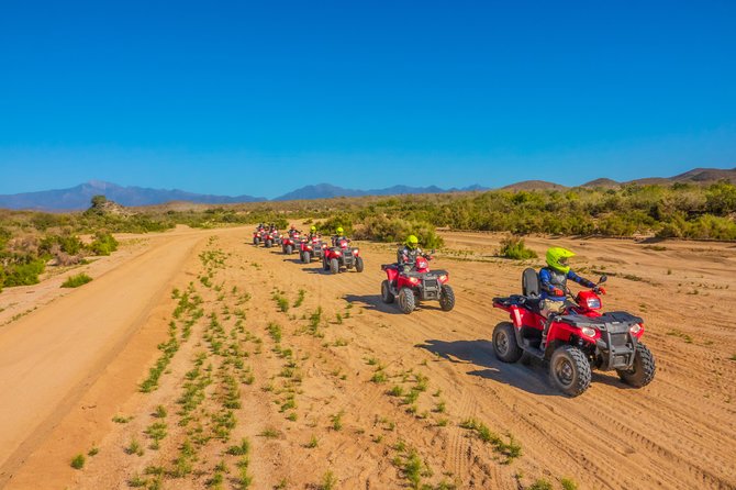 4x4 ATV Adventure with Tequila Tasting and Mexican Buffet Lunch - Lunch with an ocean view at Tierra Sagrada
