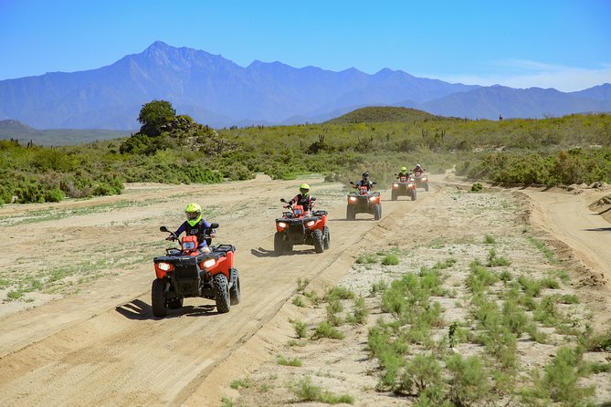 4x4 ATV Adventure with Tequila Tasting and Mexican Buffet Lunch - A short tequila and mezcal tasting