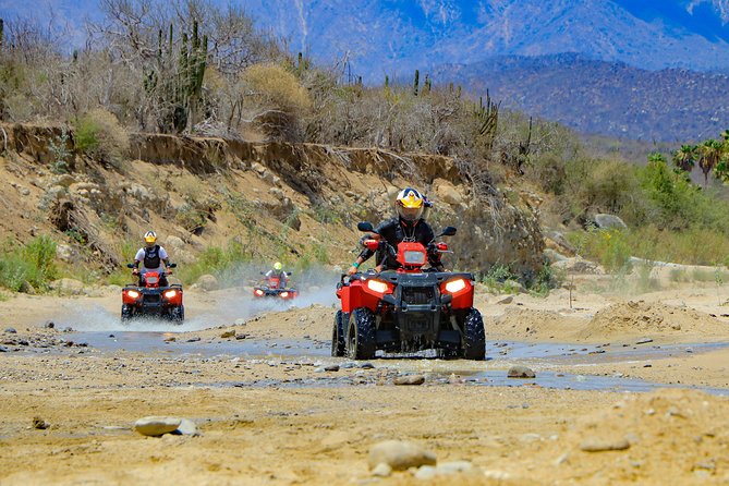 4x4 ATV Adventure with Tequila Tasting and Mexican Buffet Lunch - What the $75 price really buys you