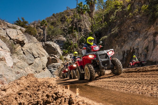 4x4 ATV Adventure with Tequila Tasting and Mexican Buffet Lunch - Who will enjoy this ride most