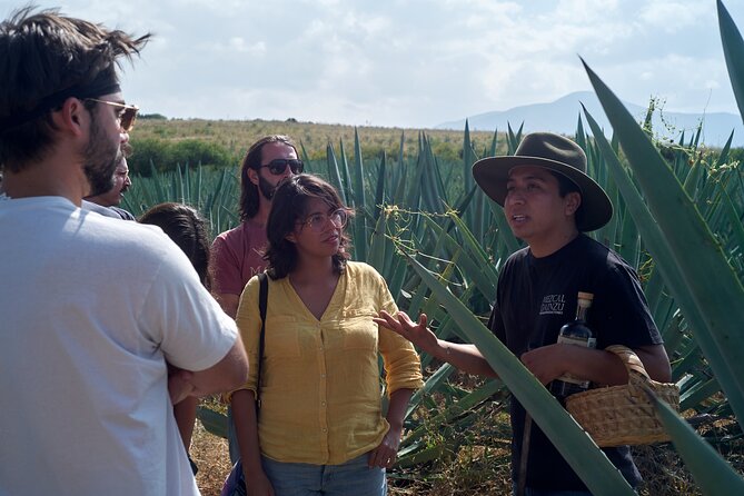 Artisanal Mezcal Culture Tour for Tasting and History - Key points to know before booking