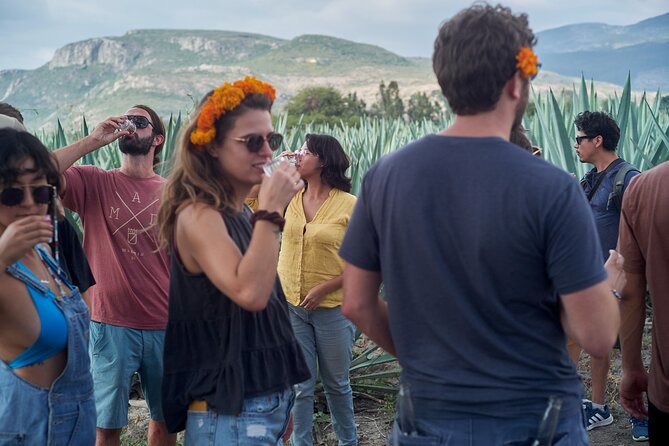 Artisanal Mezcal Culture Tour for Tasting and History - From agave field to palenque
