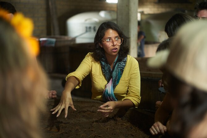 Artisanal Mezcal Culture Tour for Tasting and History - What the $107.72 price covers