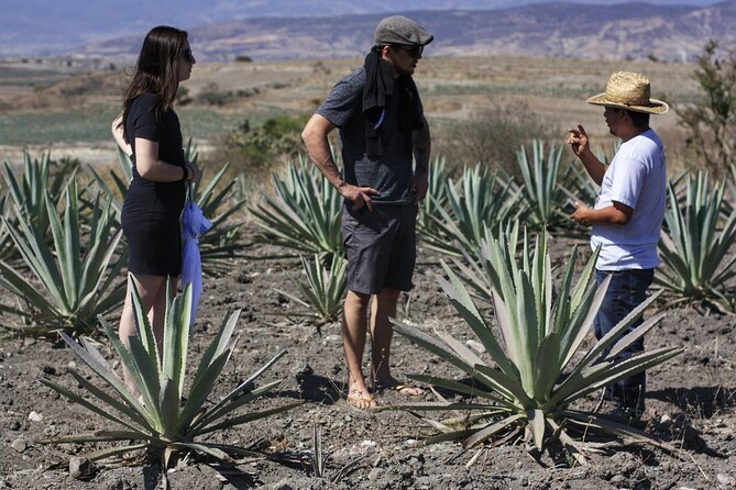 Artisanal Mezcal distillery in an authentic Zapotec village - Why this village day feels different from a standard tasting
