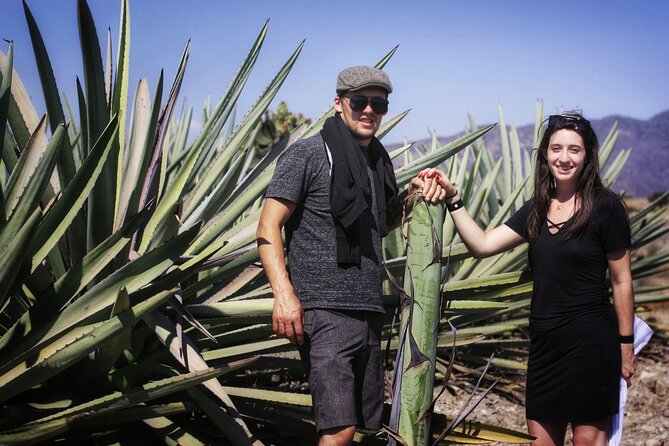Artisanal Mezcal distillery in an authentic Zapotec village - Bread, chocolate, and a welcome in San Dionisio Ocotepec