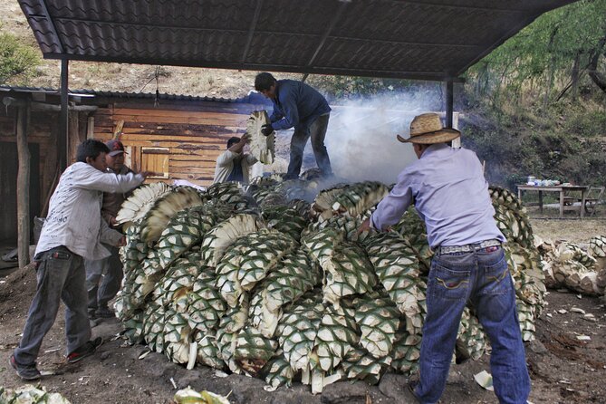 Artisanal Mezcal distillery in an authentic Zapotec village - Is $150 per person a fair price?