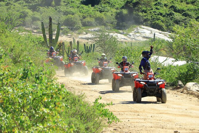 ATV Tour, Camel Ride, Tequila Tasting and Mexican Buffet Lunch - Two Baja activities at Tierra Sagrada