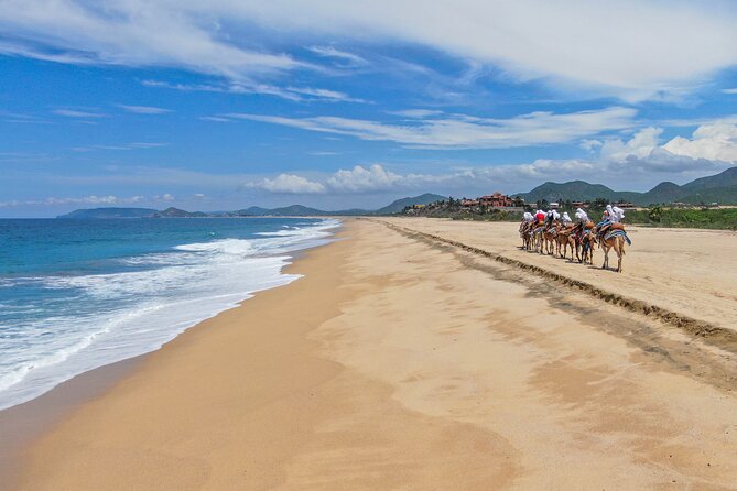 ATV Tour, Camel Ride, Tequila Tasting and Mexican Buffet Lunch - The photo policy deserves serious attention