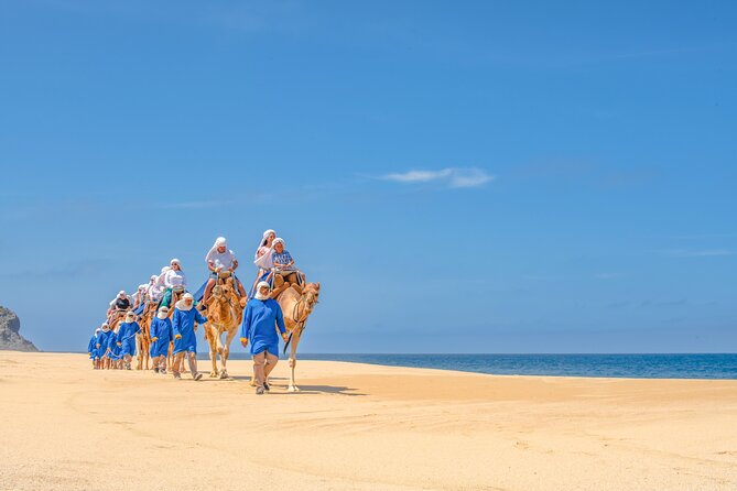 ATV Tour, Camel Ride, Tequila Tasting and Mexican Buffet Lunch - Tequila, mezcal, and an oceanfront buffet