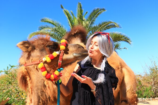 ATV Tour, Camel Ride, Tequila Tasting and Mexican Buffet Lunch - What the $149 price really buys