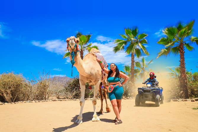 ATV Tour, Camel Ride, Tequila Tasting and Mexican Buffet Lunch - The beach camel ride changes the mood