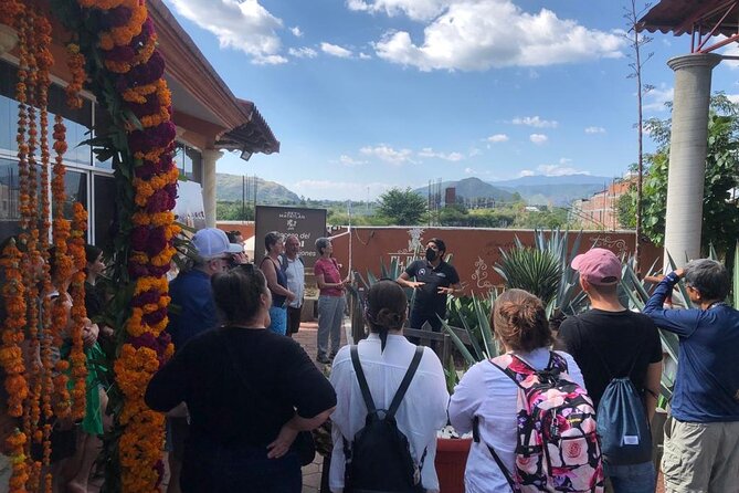 Boil the Water and Distillery of Mezcal Tour - Seeing how agave becomes mezcal
