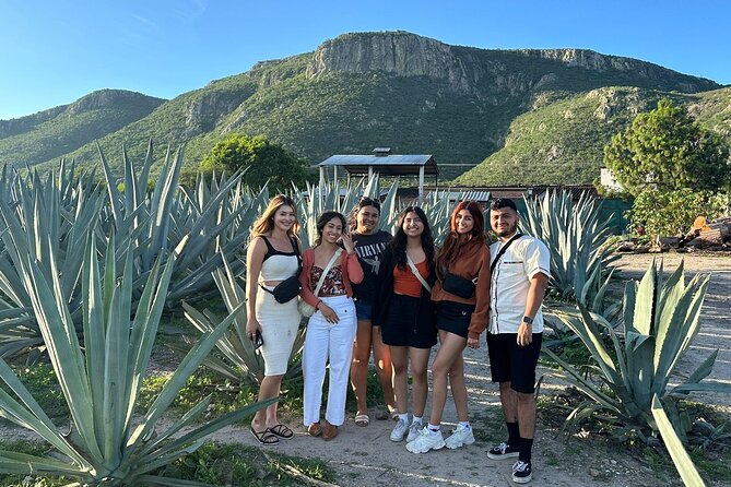 Boil Water,Tube Tree,Mitla,Mezcal and Teotitlan Valley - Mezcal at Fabrica de Mezcal Un Dia A La Vez