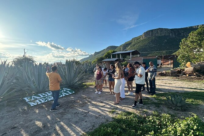 Boil Water,Tube Tree,Mitla,Mezcal and Teotitlan Valley - What the $47.88 price really covers