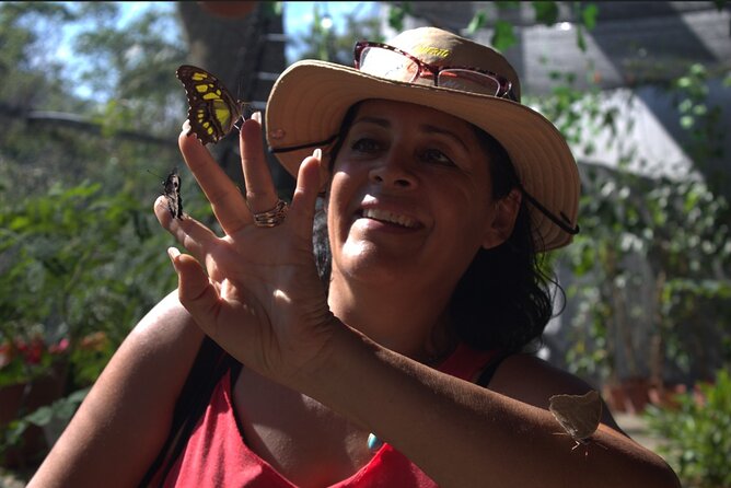 Butterflies, City tour, tequila, and beach (kids free) - Key points to know before you book