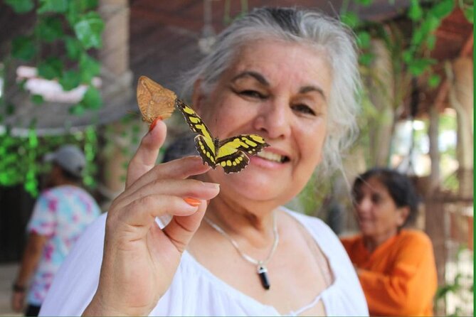 Butterflies, City tour, tequila, and beach (kids free) - Lunch and the river area