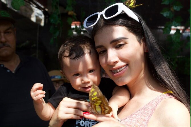 Butterflies, City tour, tequila, and beach (kids free) - Tequila tasting without the wrong expectations