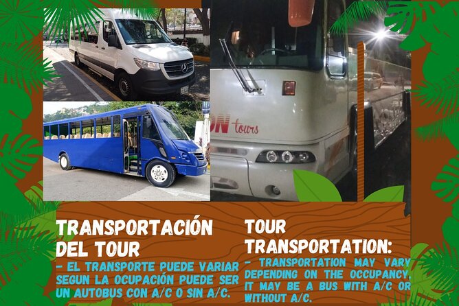 Butterflies, City tour, tequila, and beach (kids free) - The jewelry workshop: interesting craft, strong sales pressure