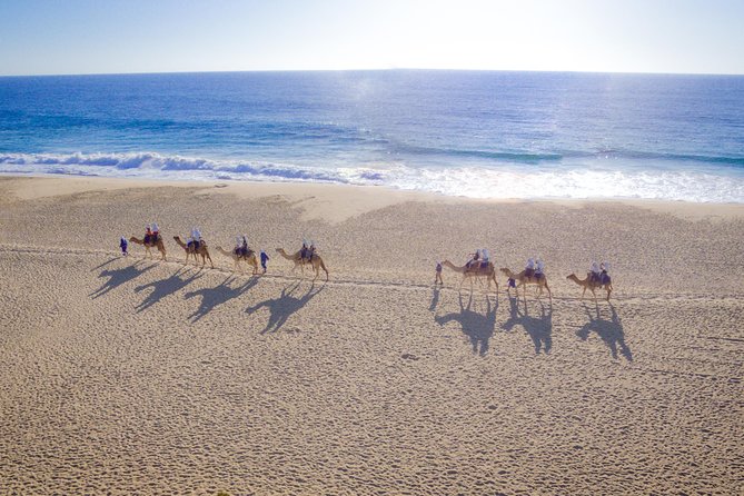Cabo Beach Camel Ride, Mexican Buffet and Tequila Tasting - Key points to know