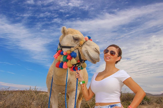 Cabo Beach Camel Ride, Mexican Buffet and Tequila Tasting - The ride from Los Cabos to Rancho Tierra Sagrada