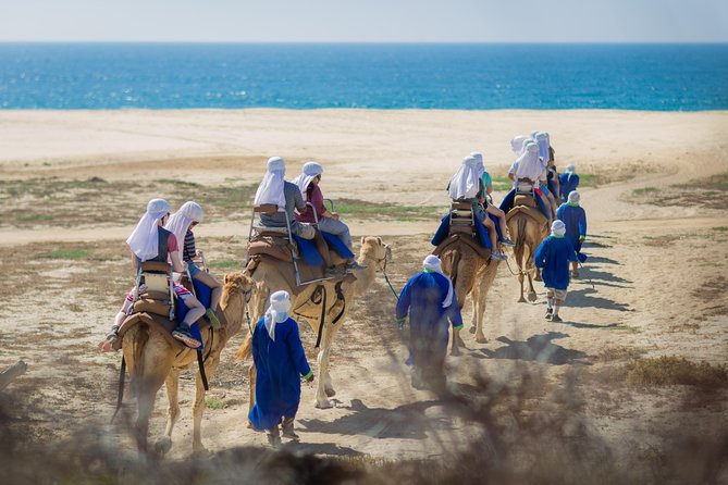Cabo Beach Camel Ride, Mexican Buffet and Tequila Tasting - Lunch with Pacific views
