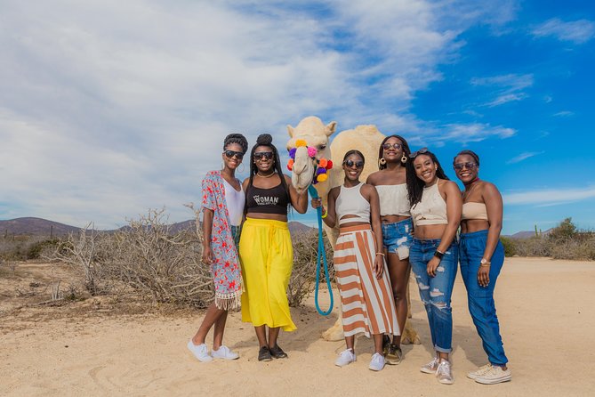 Cabo Beach Camel Ride, Mexican Buffet and Tequila Tasting - Practical details before you book