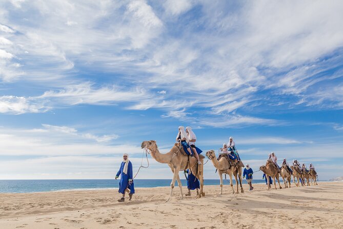 Cabo Beach Camel Ride, Mexican Buffet and Tequila Tasting - Arriving at the oceanfront ranch