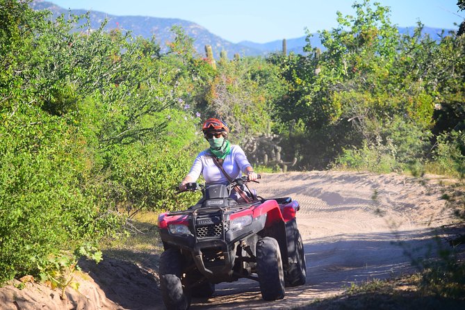 Cabo Candelaria Village Adventure + Tequila Tasting - Who will enjoy this Cabo off-road tour