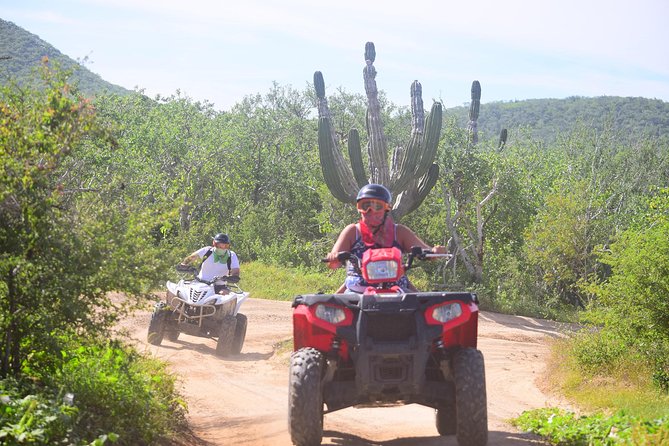 Cabo Candelaria Village Adventure + Tequila Tasting - Is $170 a fair price?