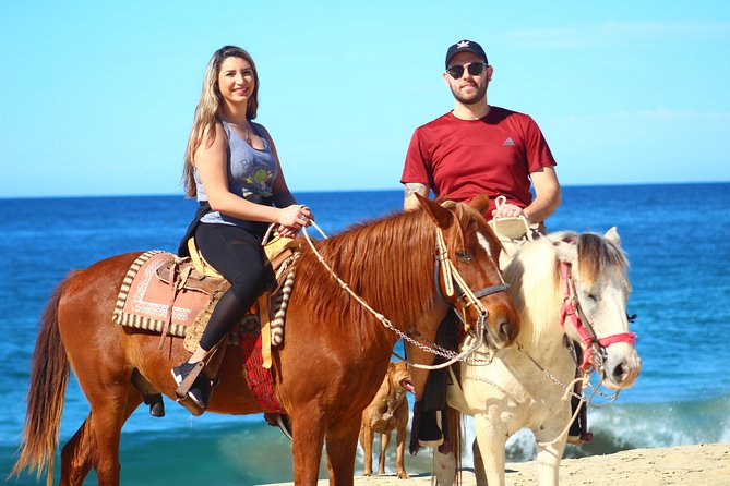 Cabo Desert Off-Road & Beach Horseback Combo and Tequila Tasting - ATV time on desert and mountain trails