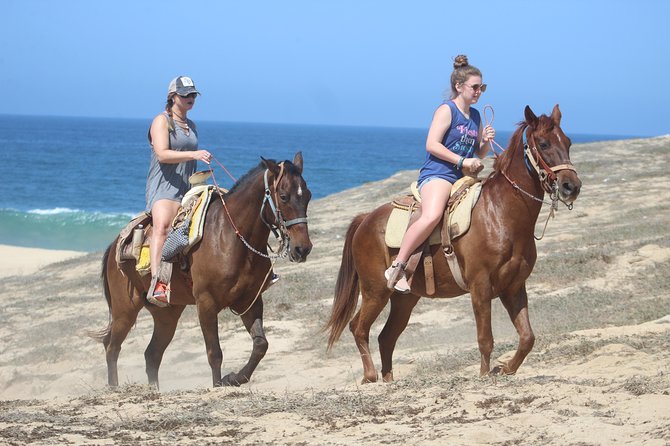 Cabo Desert Off-Road & Beach Horseback Combo and Tequila Tasting - Guides can make or break the day
