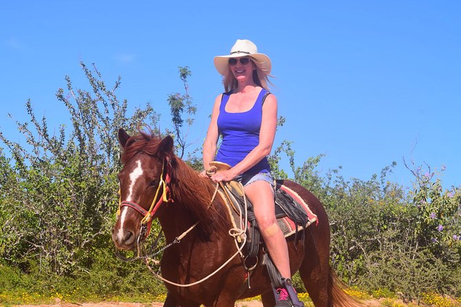 Cabo Desert Off-Road & Beach Horseback Combo and Tequila Tasting - Is the $100 price fair?