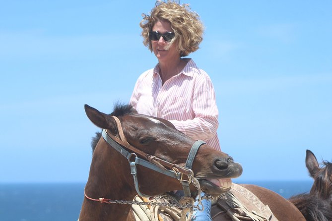 Cabo Desert Off-Road & Beach Horseback Combo and Tequila Tasting - Who will enjoy this combo most?