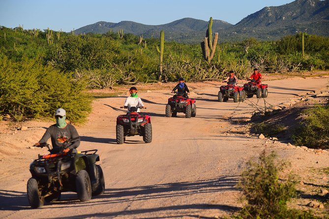 Cabo Migrino Beach and Desert ATV Tour plus Tequila Tasting - Hotel pickup from Cabo and San Jose del Cabo