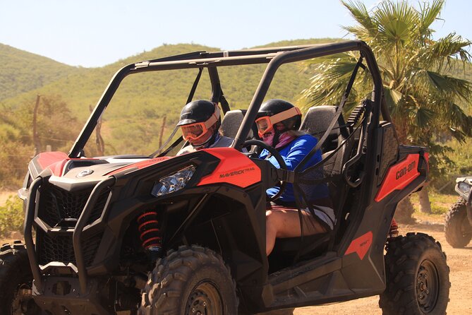 Cabo Migrino Beach & Desert UTV Tour and Tequila Tasting - The desert route and its old cactus