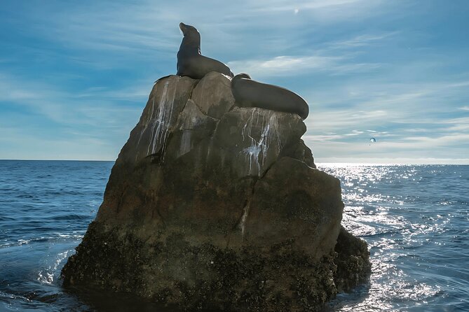 Cabo San Lucas Arch & City Tour: Glass-Bottom Boat & Tequila - Tequila tasting and what you can learn