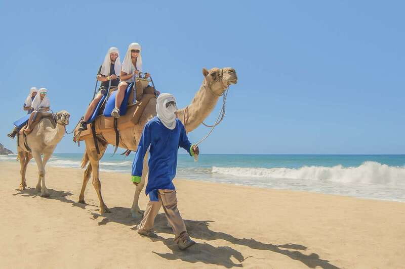 Cabo San Lucas: Camel Safari Tour with Lunch and Tequila - Key points to know before booking