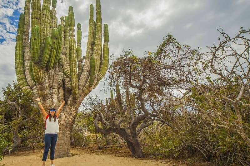 Cabo San Lucas: Camel Safari Tour with Lunch and Tequila - Guides can make or break the short schedule