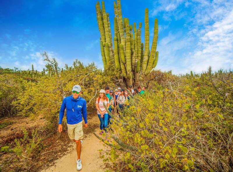 Cabo San Lucas: Camel Safari Tour with Lunch and Tequila - The extra fees and the real cost