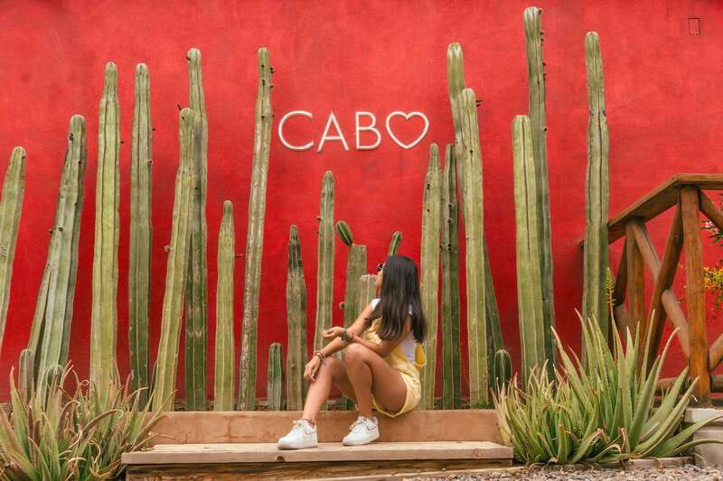 Cabo San Lucas: Camel Safari Tour with Lunch and Tequila - The ride from Cabo to the Pacific ranch