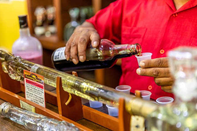 Cabo San Lucas Shopping, Tequila Tasting, and Snorkel Tour - Group size, transfers, and timing