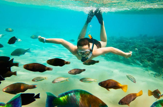 Cabo San Lucas Shopping, Tequila Tasting, and Snorkel Tour - Who will enjoy this tour most