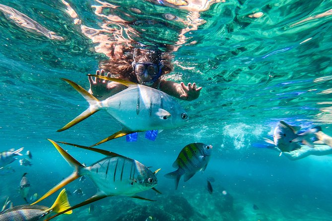 Cabo San Lucas Shopping, Tequila Tasting, and Snorkel Tour - Glassblowing and tequila before the boat