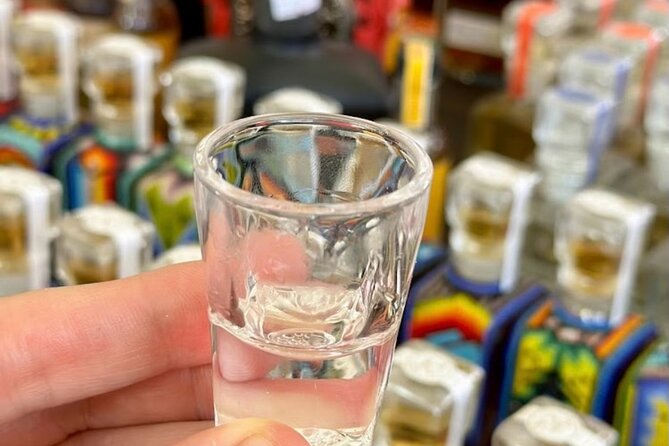 Cabo San Lucas Tequila Tasting and Mixology Class in Tasting Room - Key points at a glance