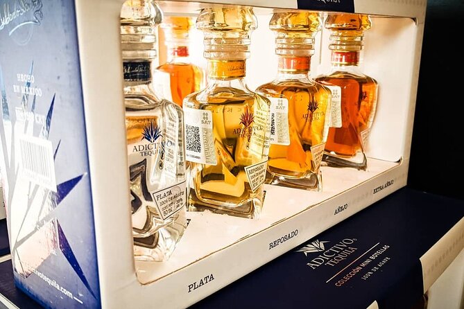 Cabo San Lucas Tequila Tasting Experience - Six tequilas, three mezcals, and what to notice