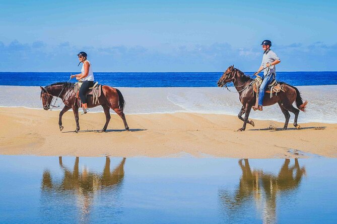 Cabo Shore Excursion: Beach Horseback Ride & Tequila Tasting - From Cabo’s port to the open desert
