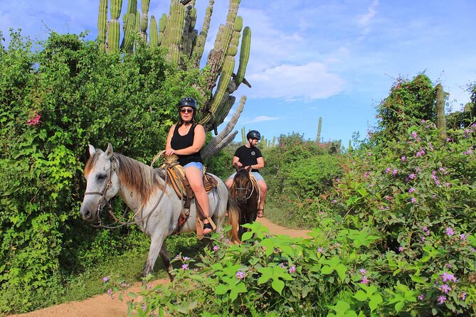 Cabo Shore Excursion: Beach Horseback Ride & Tequila Tasting - What Los Cabos and El Arco mean on the route