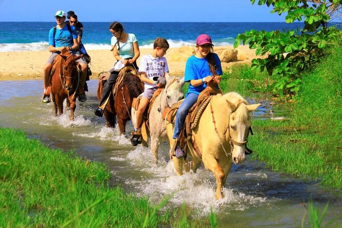Cabo Shore Excursion: Beach Horseback Ride & Tequila Tasting - The real price: $70 plus extras