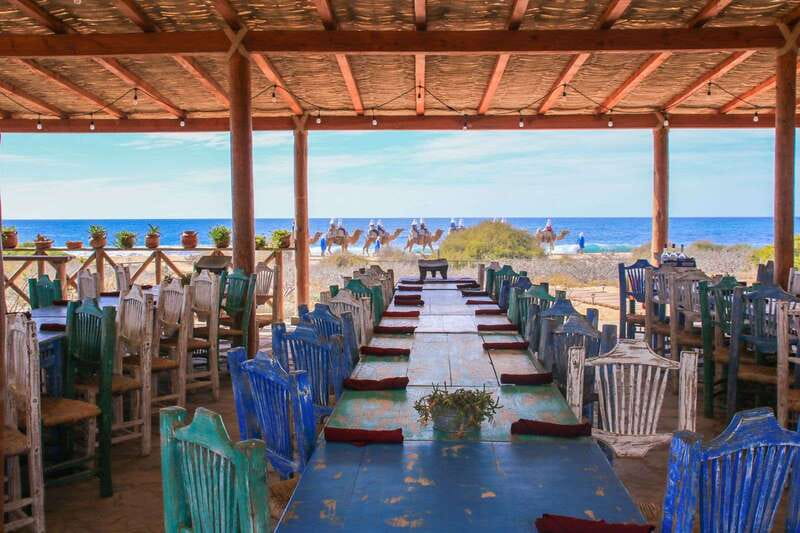 Cabo: Todo Santos Tour with Camel Ranch, Tequila and Lunch - Why this Cabo day trip feels different